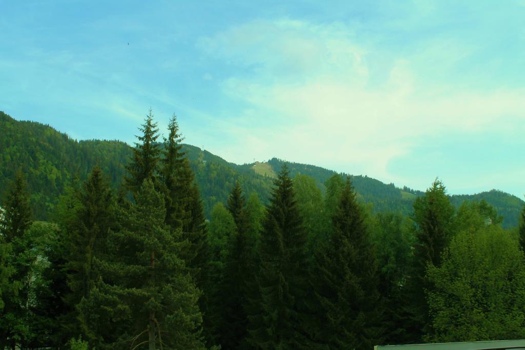 Hotel Crisalpin Poiana Brasov Ngoại thất bức ảnh
